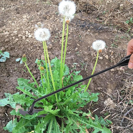 2025 Upgrade🏡Garten-Unkrautentfernungswerkzeug Aushebe- Und Jätwerkzeug