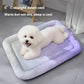 🔥 NUR HEUTE: €29,99!! ❄ Pawchill™ Kühlmatte für Hunde & Katzen 🐾  Ice-Silk – natürlich kühl, atmungsaktiv & waschbar 🌿  Für Zuhause, Sofa & Auto • Mehrere Größen • Farbverlauf ☀️🐶🐱