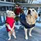 🔥Winter-Sonderverkauf – 50 % Rabat🐶🐾Wasserdichter Warmer Multifunktionaler Hundemantel🐾