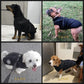 🔥Winter-Sonderverkauf – 50 % Rabat🐶🐾Wasserdichter Warmer Multifunktionaler Hundemantel🐾