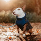 🔥Winter-Sonderverkauf – 50 % Rabat🐶🐾Wasserdichter Warmer Multifunktionaler Hundemantel🐾