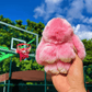 🐰JETZT 60 % RABATT! 🏆⏰Weiche Bunny PomPom-Anhänger – Handgemacht