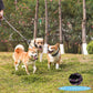 🔥Letzter Tag: 50% Rabatt!🔥Doppelte Bungee Leine - 1. Schritt Trainingsgerät🐶