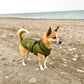 🔥Winter-Sonderverkauf – 50 % Rabat🐶🐾Wasserdichter Warmer Multifunktionaler Hundemantel🐾