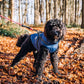 🔥Winter-Sonderverkauf – 50 % Rabat🐶🐾Wasserdichter Warmer Multifunktionaler Hundemantel🐾