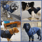 🔥Winter-Sonderverkauf – 50 % Rabat🐶🐾Wasserdichter Warmer Multifunktionaler Hundemantel🐾
