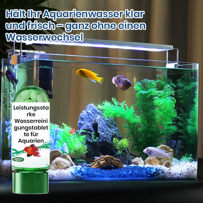 💥Heißer Verkauf 50% Rabatt♻️💧Leistungsstarke Wasserreinigungstablette für Aquarien