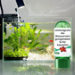 💥Heißer Verkauf 50% Rabatt♻️💧Leistungsstarke Wasserreinigungstablette für Aquarien