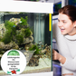 💥Heißer Verkauf 50% Rabatt♻️💧Leistungsstarke Wasserreinigungstablette für Aquarien