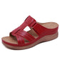 🎁Ostern Heißer Verkauf 50% Rabatt💥 ﻿Premium Leder Sandalen für Damen