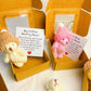 🎁Letzter Tag Sonderpreis-50% Rabatt🔥Handgefertigter Mini-Plüsch-Teddybär in einer Box🐻