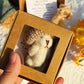 🎁Letzter Tag Sonderpreis-50% Rabatt🔥Handgefertigter Mini-Plüsch-Teddybär in einer Box🐻