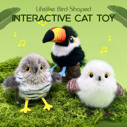❤️50% Rabatt🎁Das neue Spielzeug für Ihr Kätzchen🐱Lebensechtes interaktives Katzenspielzeug in Vogelform